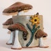Mushroom's and Nature