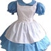 Alice in Wonderland Halloween Costume Gothic Lolita Dress and Apron Cosplay Costume Womens Large