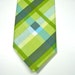 Mens Green Plaid Neckties