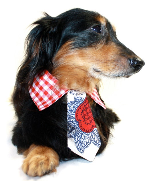 Dog Collared Shirt
 Items similar to dog collar shirt and tie on Etsy