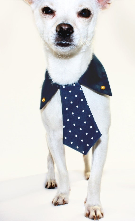 Dog Collared Shirt
 Items similar to Dog collar shirt and tie on Etsy