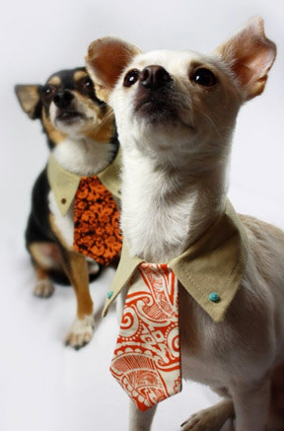 Items similar to Dog collar shirt and tie on Etsy