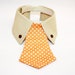 Custom Wedding Dog Collar-shirt and tie