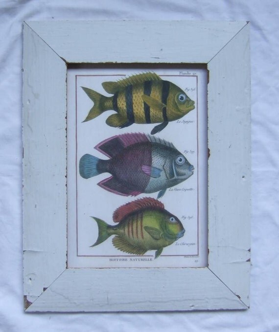Items similar to Fish Print Reclaimed Wood Frame Old Salvaged FS39 on Etsy