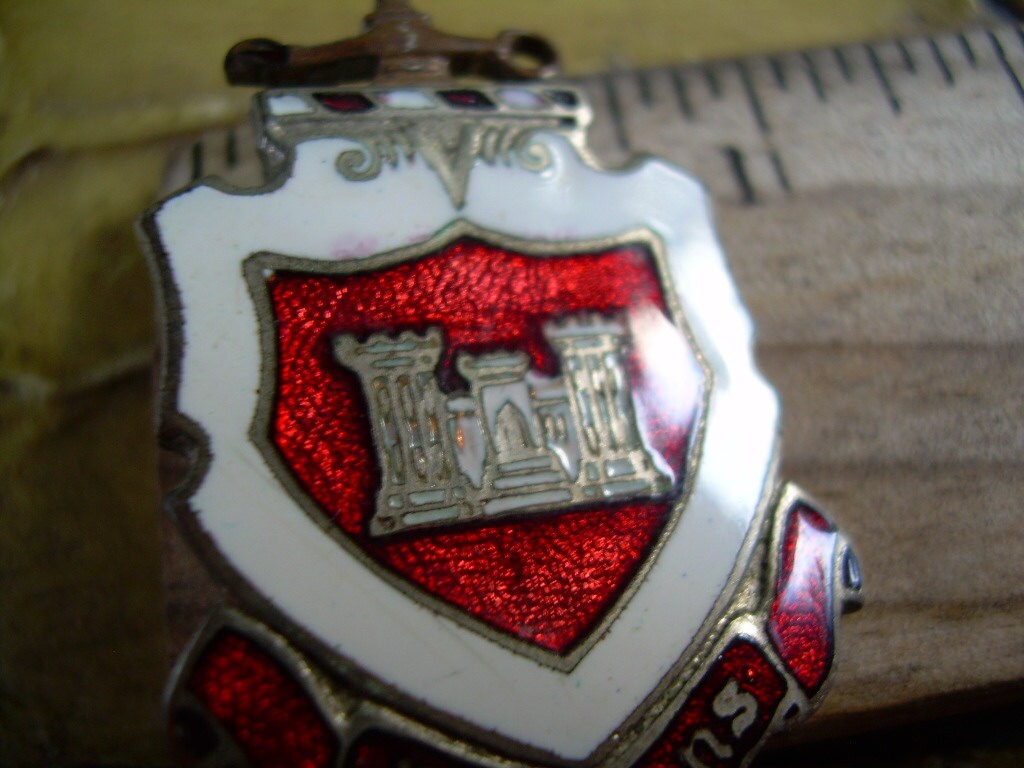 Meaning of essayons image