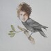 Bob Dylan as a crow
