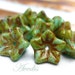Turquoise picasso - Czech glass beads - petaled flower - 6X5mm - 12pcs
