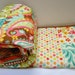 Sweet Nothings Baby Girl/Toddler Quilt