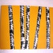 Original Birch Tree Oil Painting- Yellow Cab Birches