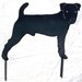 Jack Russell Terrier Art Metal Yard Stake