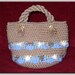 Sand and Sea Purse