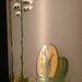 Arizona Century Plant Beverage Glass