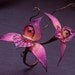 Silk Orchid Hair Flower
