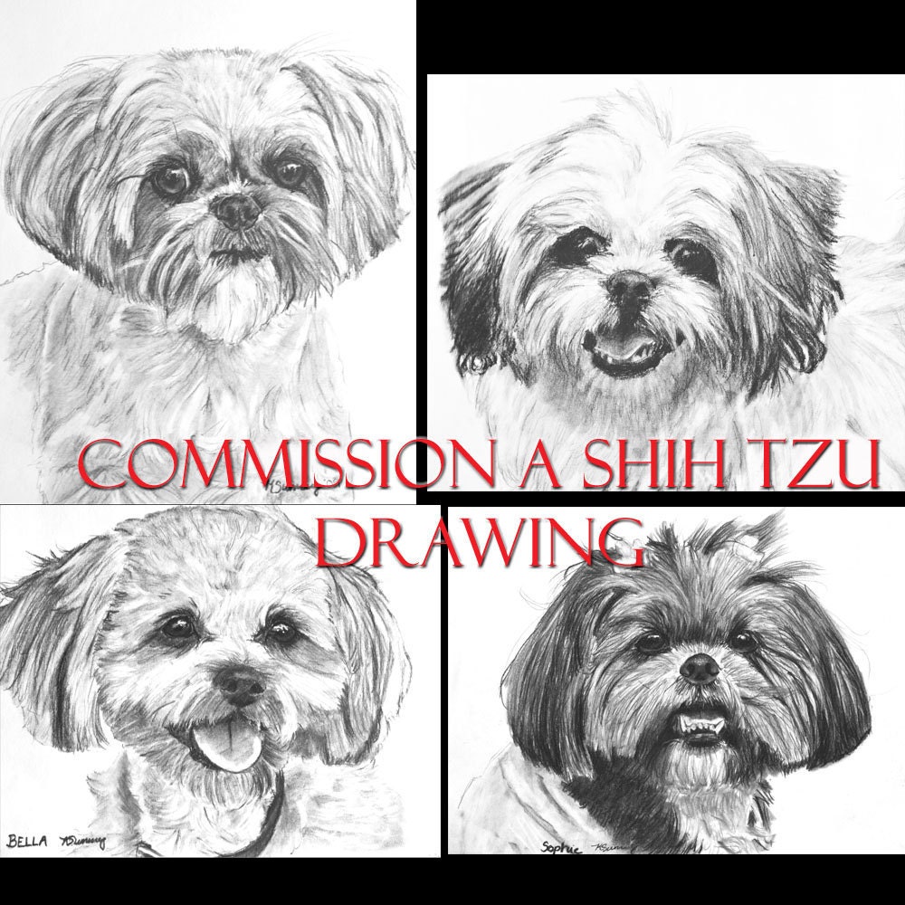 Custom Charcoal Pencil Shih Tzu Drawing Your Dog by ESArt 