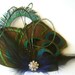 Peacock Feather Hair Clip WOODLAND BLUE Feather with Peacock Sword Rhinestone Hair Fascinator Clip Ready to Ship
