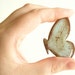 Wooden Butterfly Brooch - WINTER FOREST BUTTERFLY