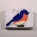 Bluebird Ornament - Handpainted Porcelain