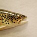 Brown Trout Ceramic Wallhanging Medium