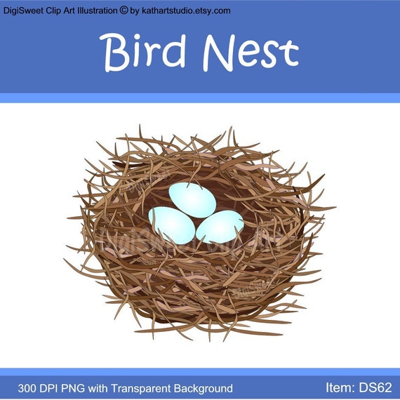 clipart birds nest eggs - photo #12