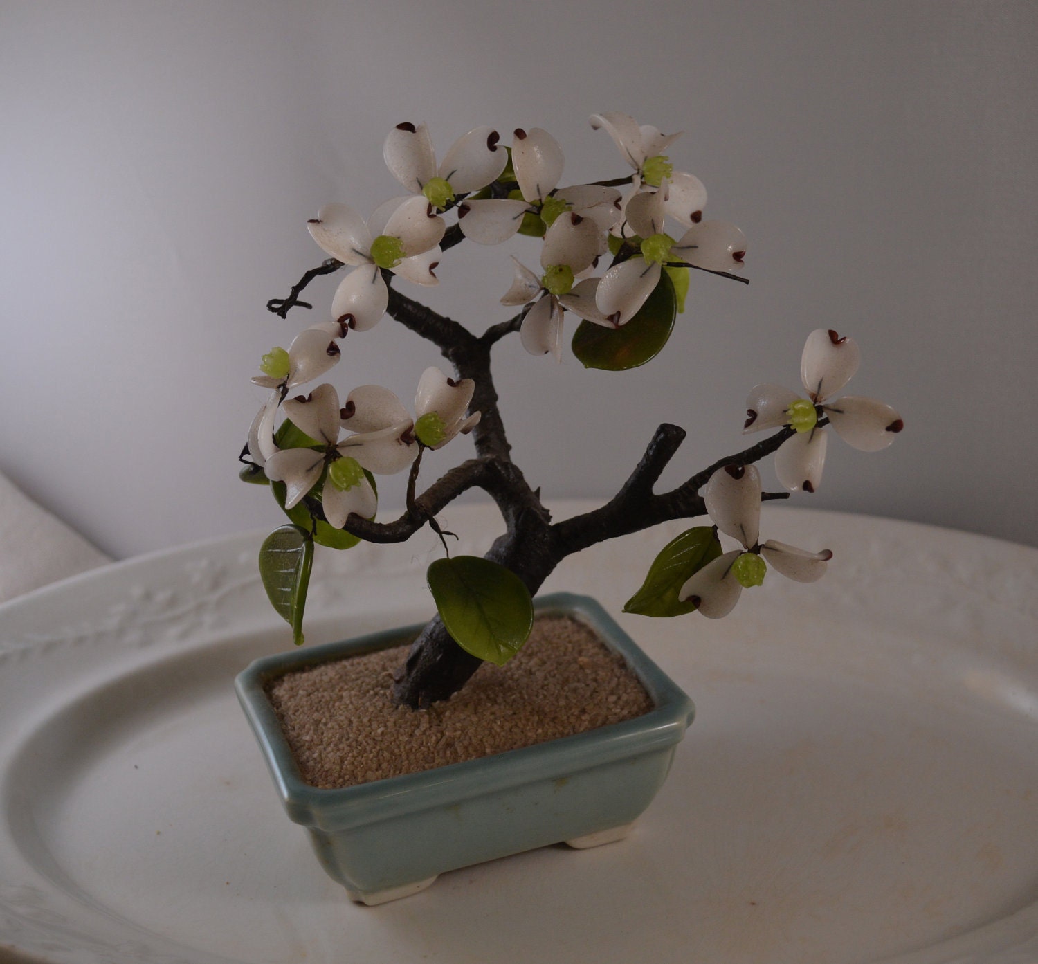 Best Glass Bonsai Tree  Learn more here 