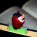 Apple with Glow Worm Bookmark - GREAT GIFT IDEA