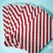 RED Stripe Big Bitty Bags Party Favors Paper Pattern 6.25" x 9.25" Pack of 20