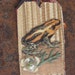bookmark with frog