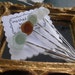 Summer Picnic Lake Erie Beach Glass Bobbies