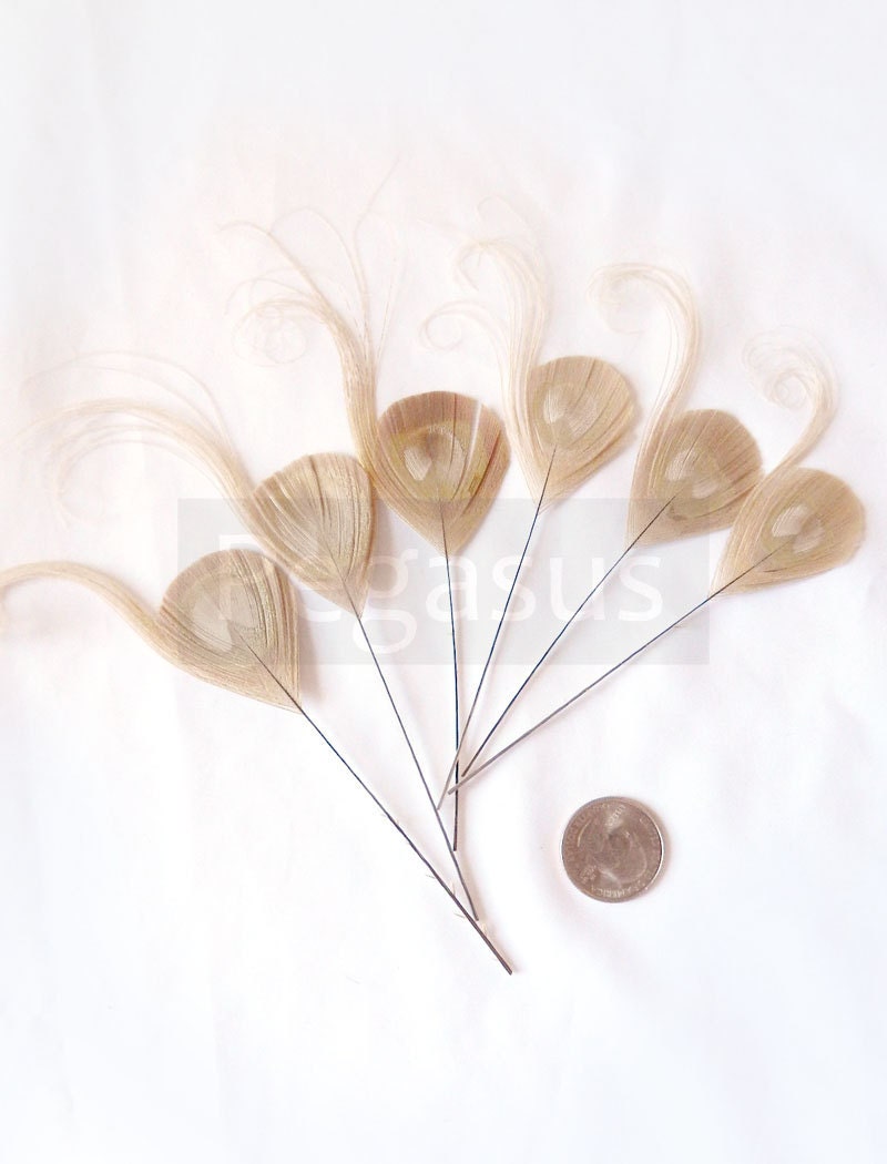 IVORY Peacock Feather Picks (6 Feathers)(17 color options) for wedding invitations, boutonnieres, bouquets, hats and millinery