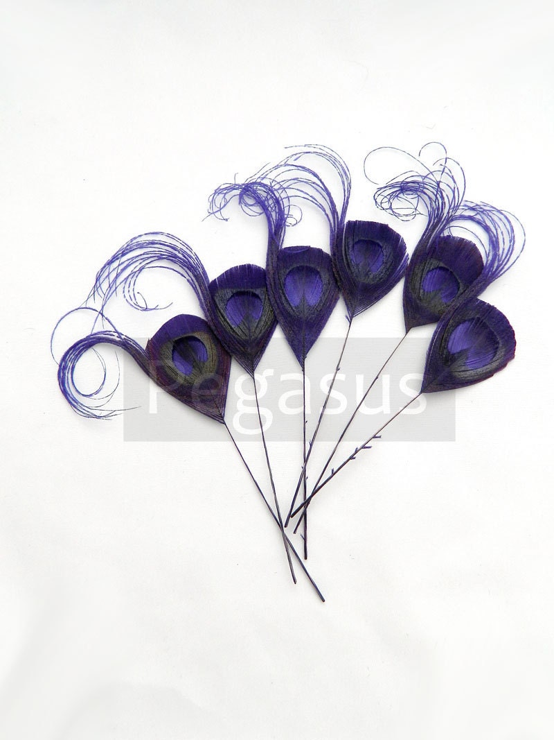 ROYAL PURPLE Peacock Feather Picks 2 package size wedding