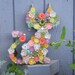 Elizabeth the Garden Kitty