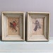 Vintage Framed Bird Prints