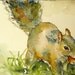 Squirrel Original Watercolor Painting by Maure Bausch