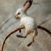 Basket Bunny Oatmeal