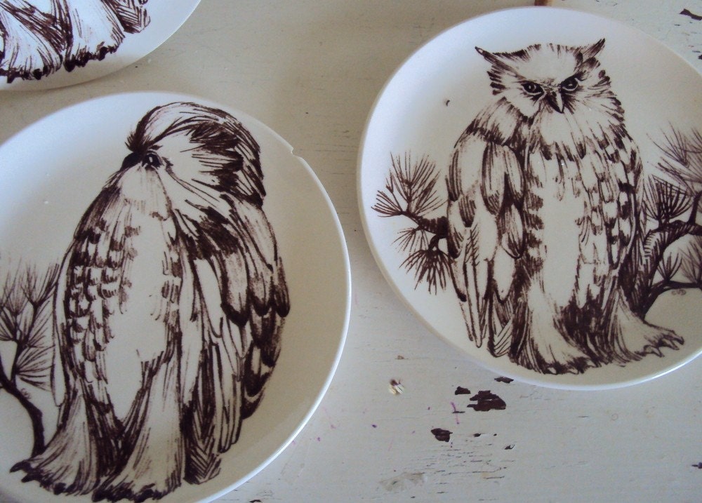Vintage Owl Plates 1960s Set of 6 Very Cool Plates