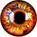 Glass Eyes Fantasy Fire Eyes Taxidermy yellow orange eye set of 2, 25mm 1"Steampunk Jewelry and Pendant Making