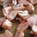 Mother of Pearl Nugget Beads (15 in)
