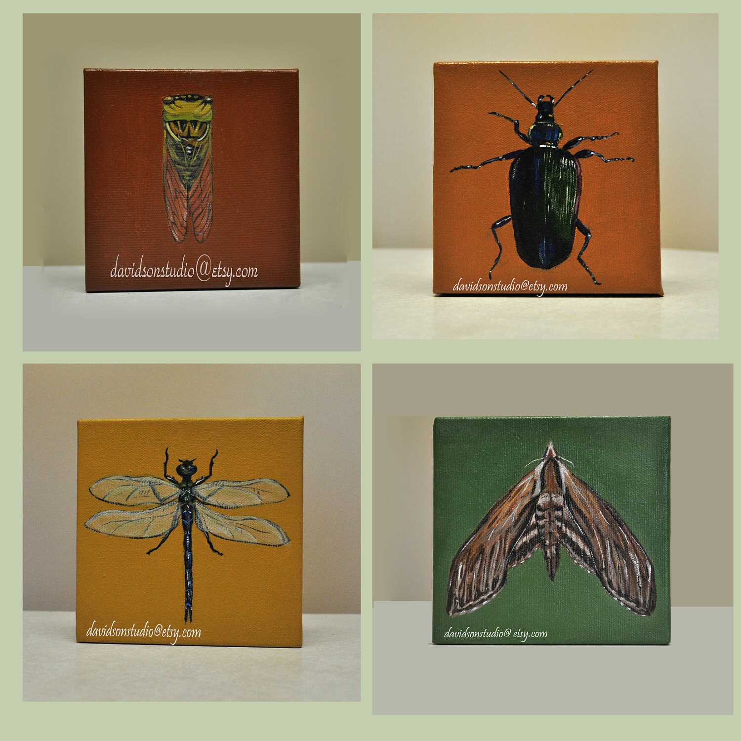 Original Acrylic PAINTING Beetle Insect Bug by DavidsonStudio