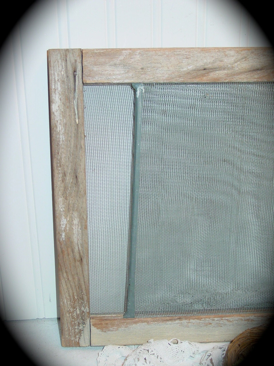 Portable window screens