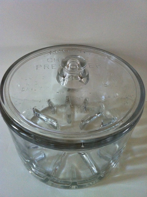 Glass Covered Sanitary Cheese Preserver Vintage