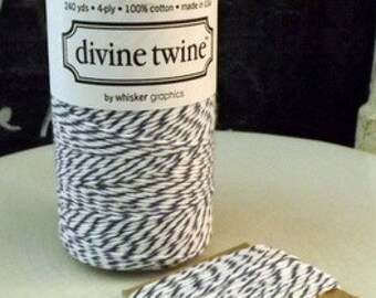 Blue White Cotton String Blueberry Divine Twine 10 yards