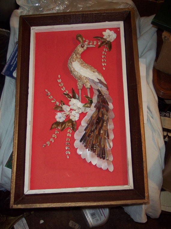 VINTAGE 3 D art peacock SEASHELL Collage shadowbox picture