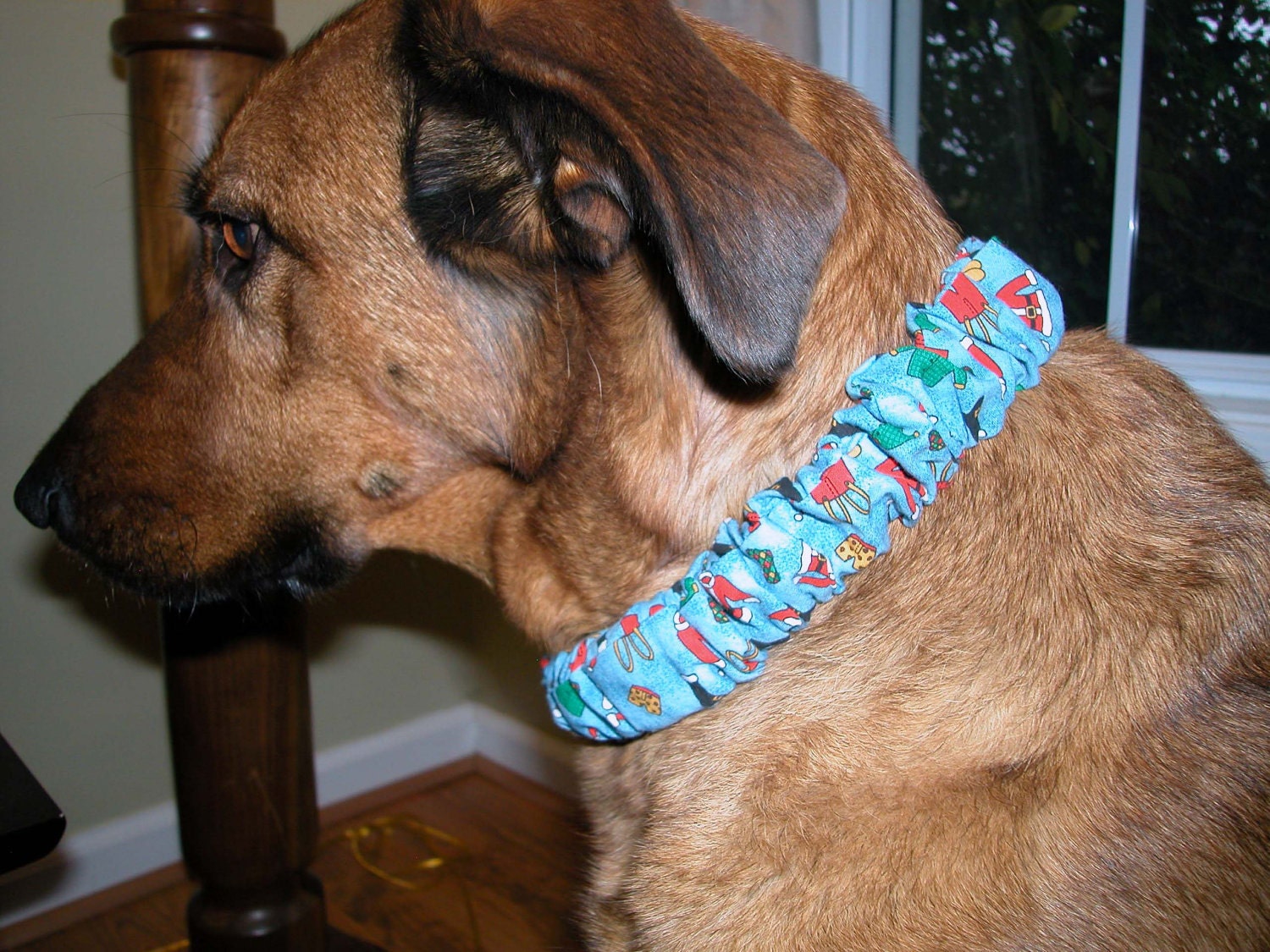 Christmas Holly Dog Collar Cover Sock 3/4 inch ON SALE