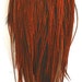 Full Rooster Saddle Hackle Natural Red/Ginger/Black Furnace. Over 250 feathers, many long feathers for hair extensions.