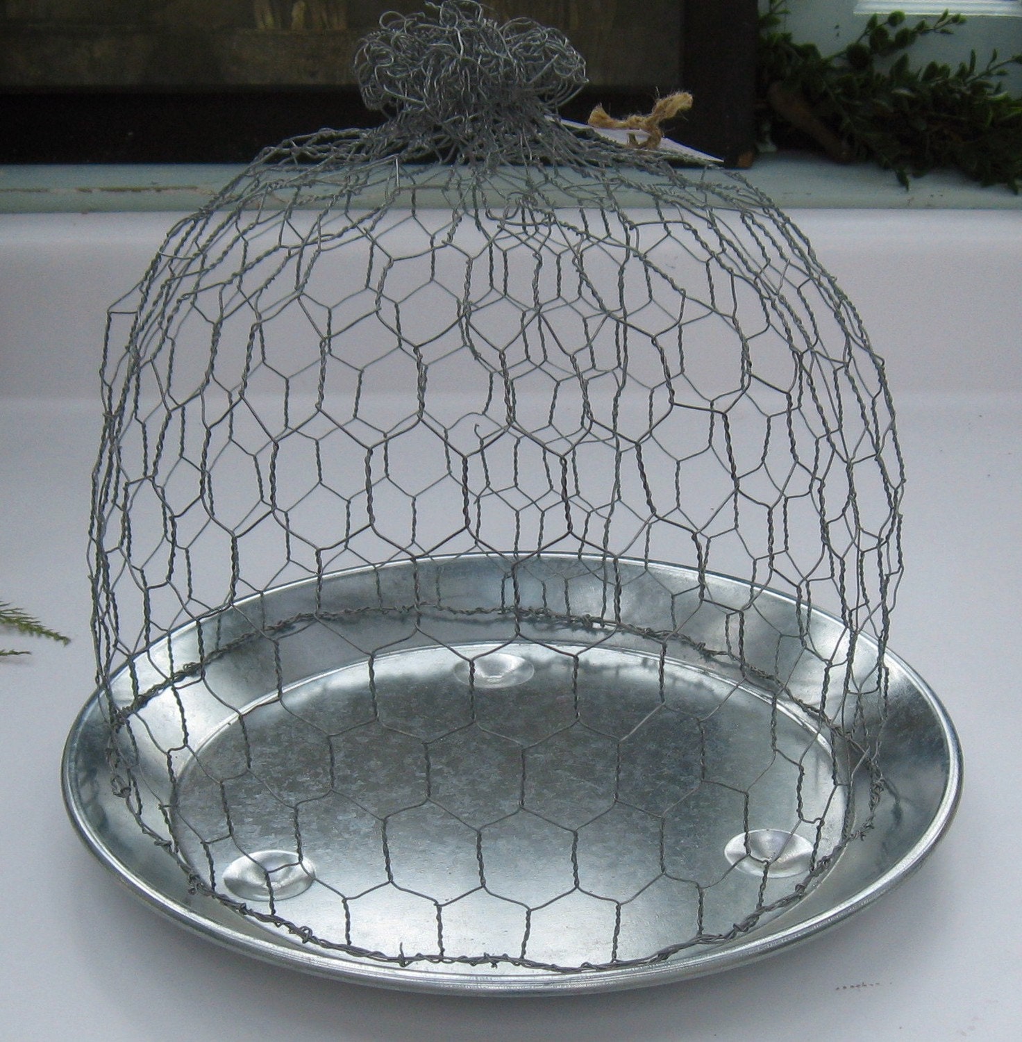 chicken wire cloche on galvanized base by dreyne on Etsy