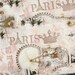 You cant get any more Paris than this fabulous muslin fabric ribbon 2.5" wide (item 67
