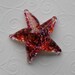 Pink Sea Star
