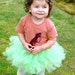 Reserved for Kim----Dinosaur T-Rex T Shirt, Recycled T- Shirt, Baby Shirt, Toddler T Shirt, Red