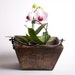 Antique Wooden Basket