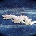 RESERVED Silver Dragon Cuff on Deep Blue Felt